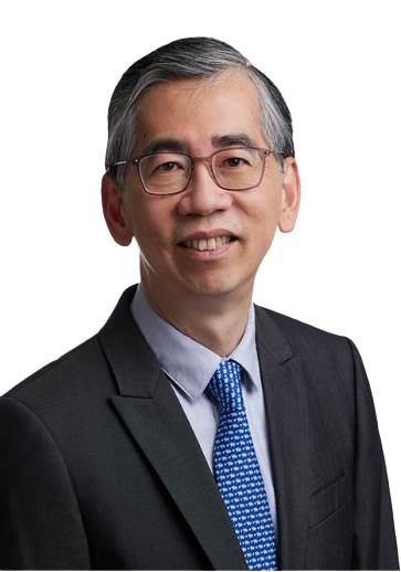 Dr Lim Hong Liang - BioCELL